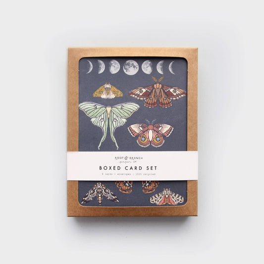 Moonlit Moths Boxed Card Set of 8