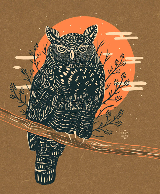 Great Horned Owl: 8x10