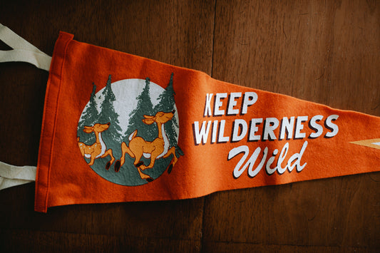 Keep Wilderness Wild Pennant - 75% OFF