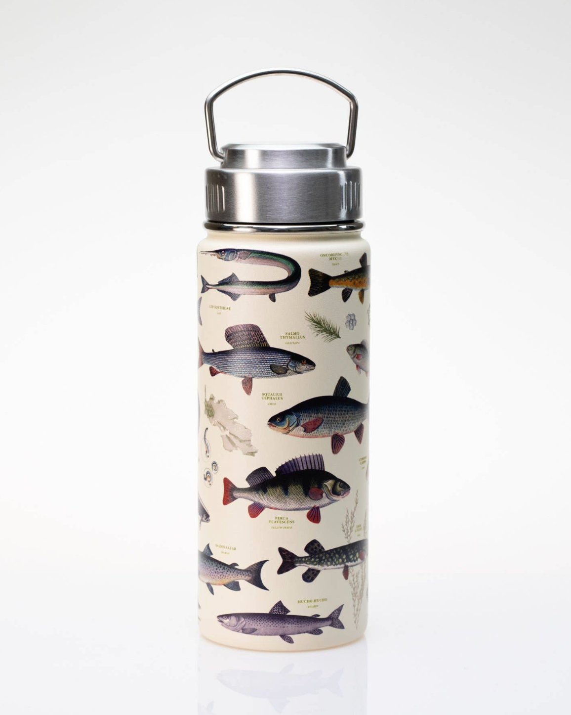 Freshwater Fish Stainless Steel Vacuum Flask