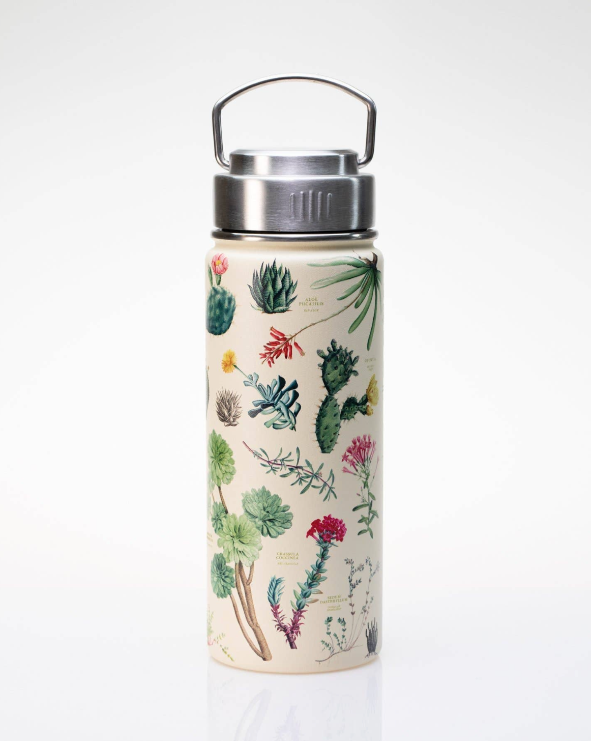 Succulents Stainless Steel Vacuum Flask