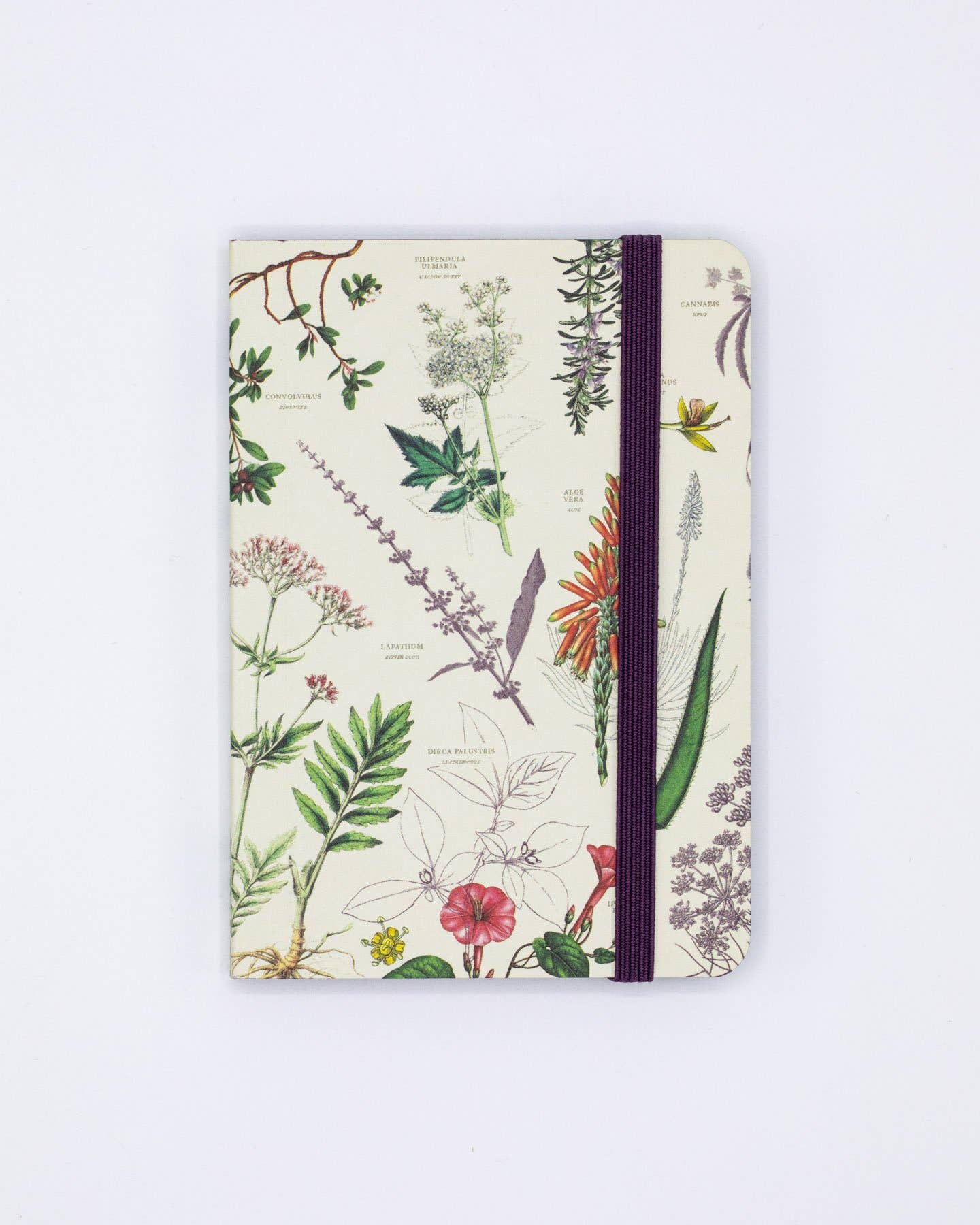 Medicinal Botany Softcover Mini Notebook
