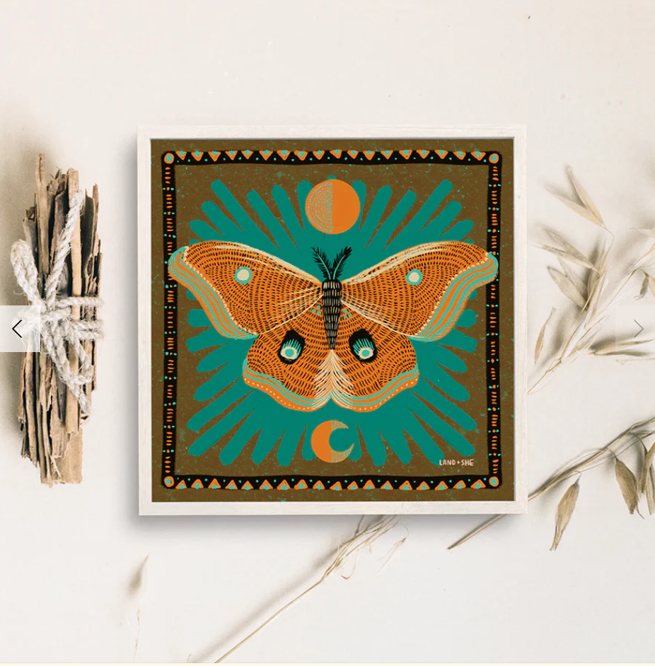 8" x 8" Luna Moth Print