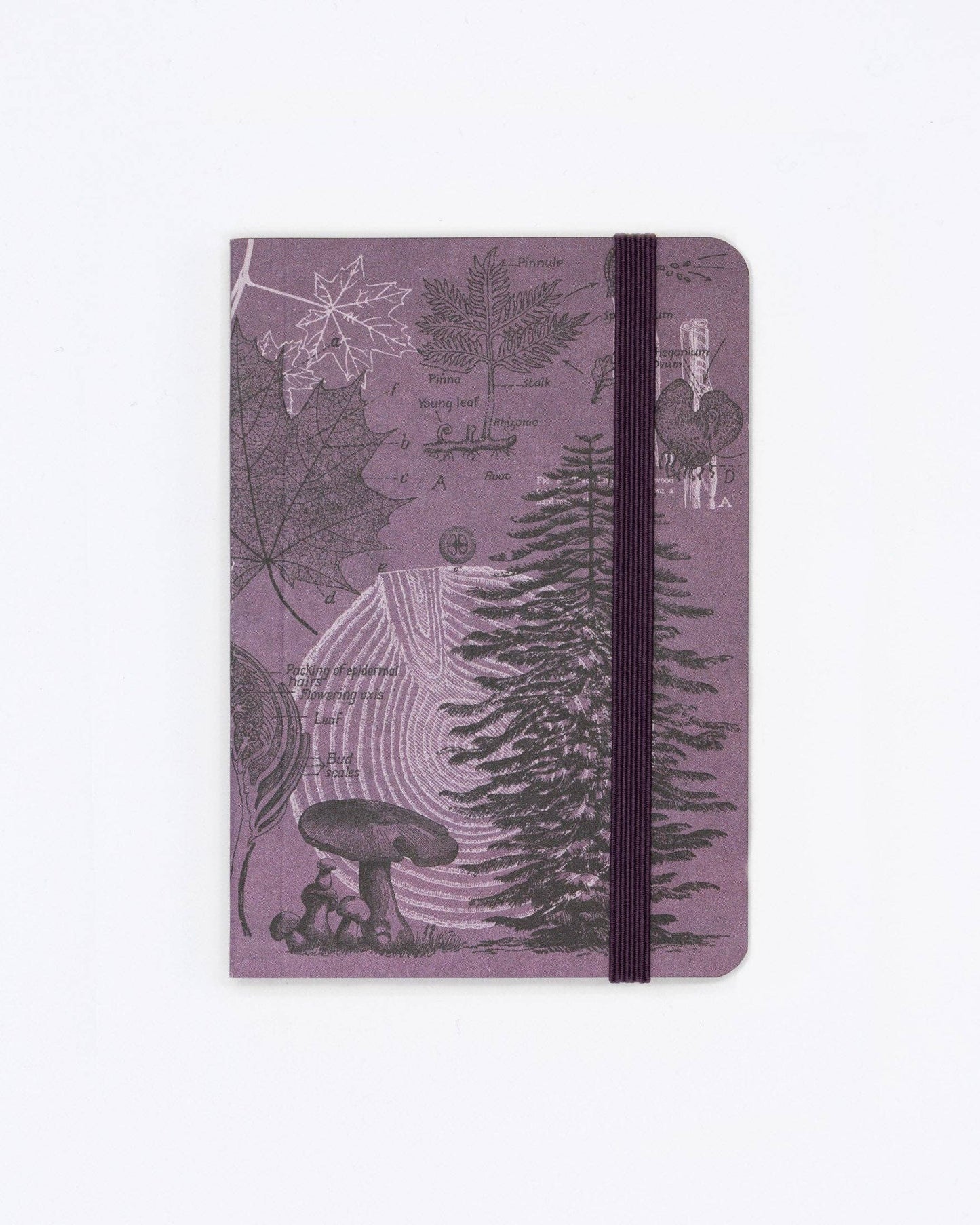 Forest at Dusk Softcover Mini Notebook