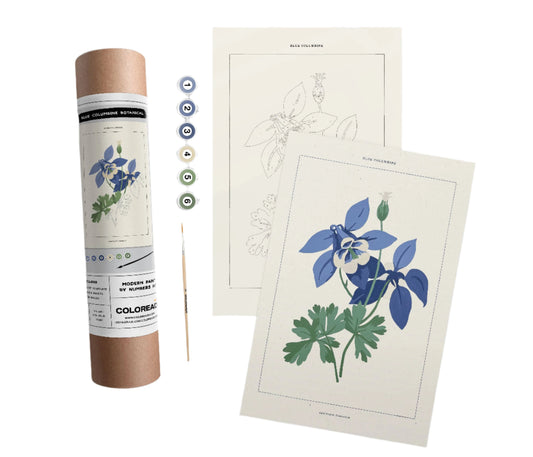 Blue Columbine Modern Paint By Numbers Kit