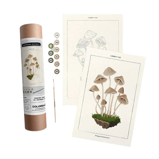 Mushrooms Modern Paint By Numbers Kit